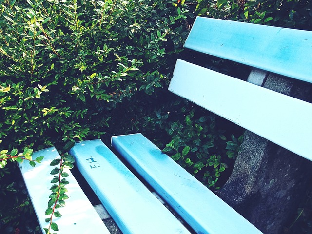 既非顶尖 既非顶尖