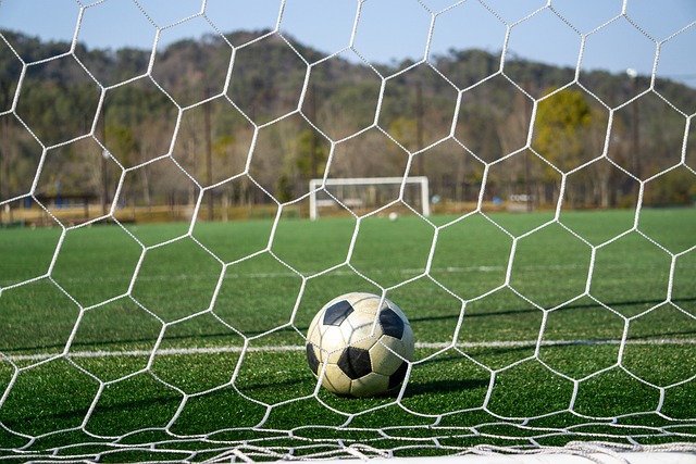 分享聚光灯 分享聚光灯