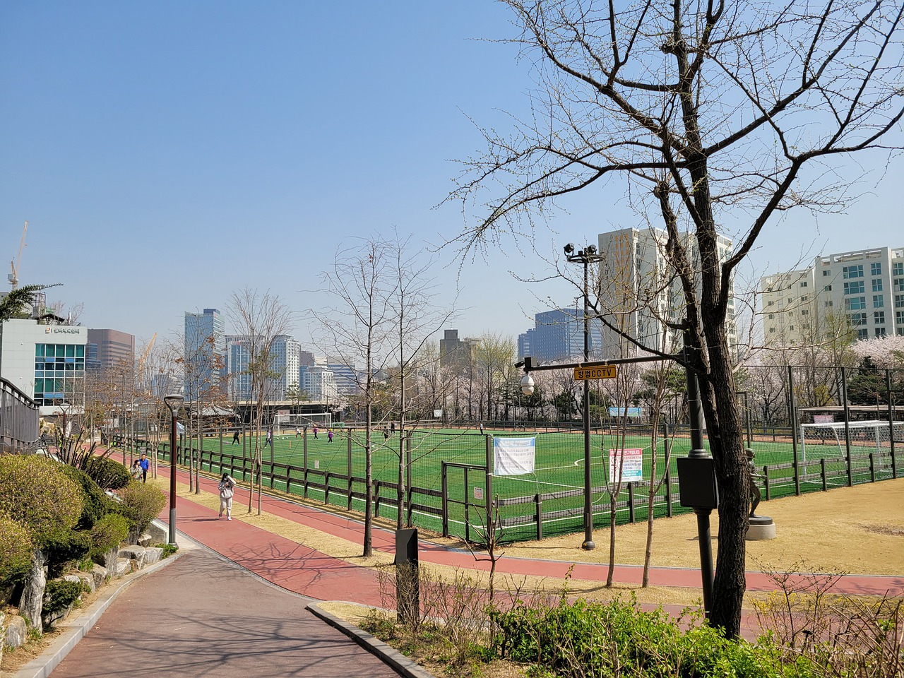 8岁生日的 8岁生日的